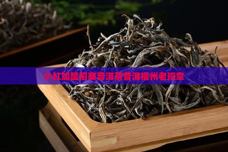 小红加盟招商普洱茶普洱福州老班章