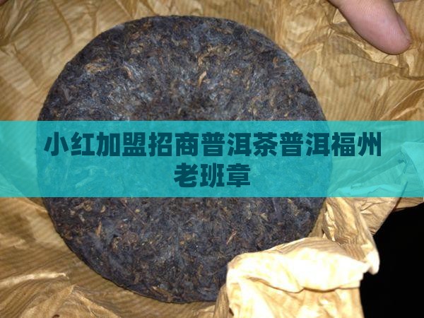 小红加盟招商普洱茶普洱福州老班章