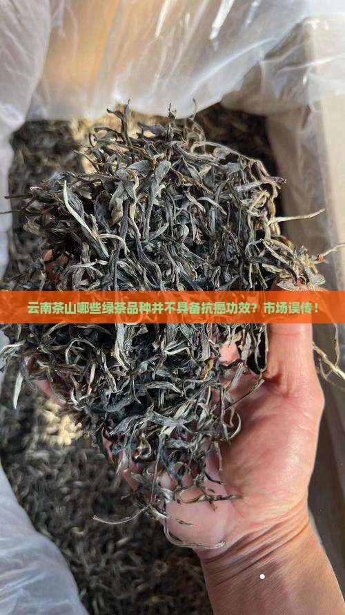 云南茶山哪些绿茶品种并不具备抗癌功效？市场误传！