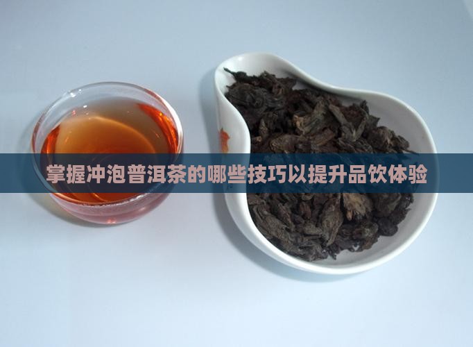 掌握冲泡普洱茶的哪些技巧以提升品饮体验