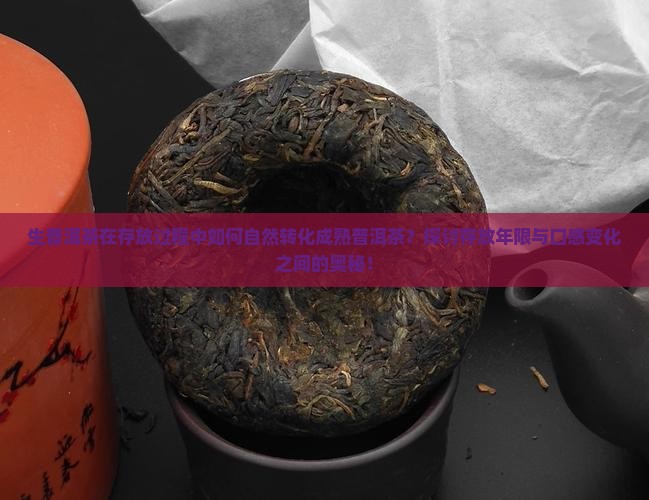 生普洱茶在存放过程中如何自然转化成熟普洱茶？探讨存放年限与口感变化之间的奥秘！