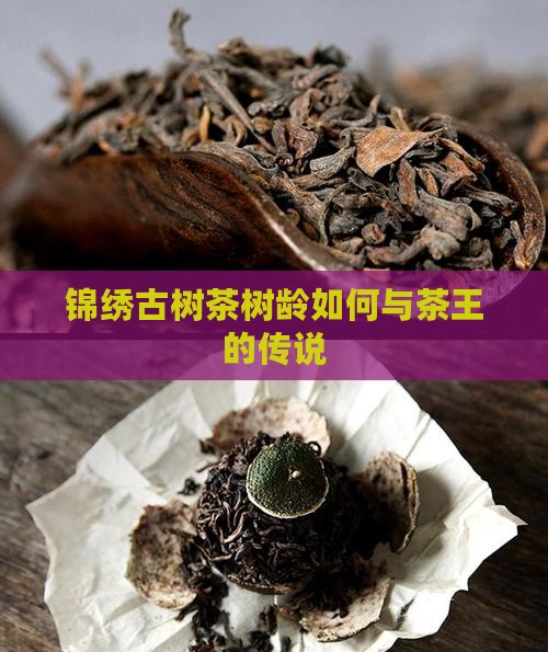 锦绣古树茶树龄如何与茶王的传说
