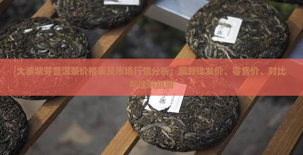 大秦紫芽普洱茶价格表及市场行情分析：最新批发价、零售价、对比与选购指南