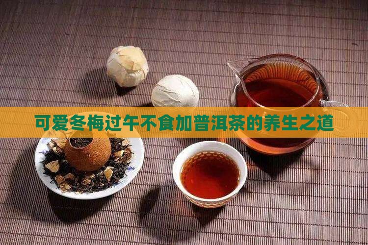 可爱冬梅过午不食加普洱茶的养生之道