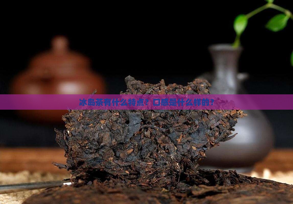 冰岛茶有什么特点？口感是什么样的？