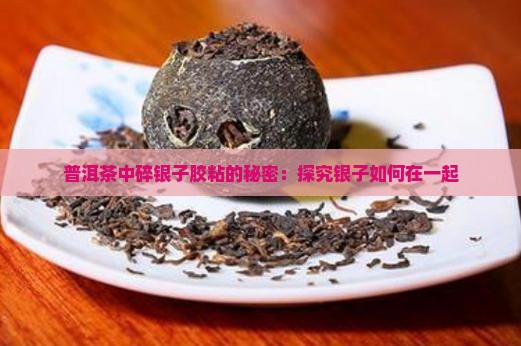普洱茶中碎银子胶粘的秘密：探究银子如何在一起