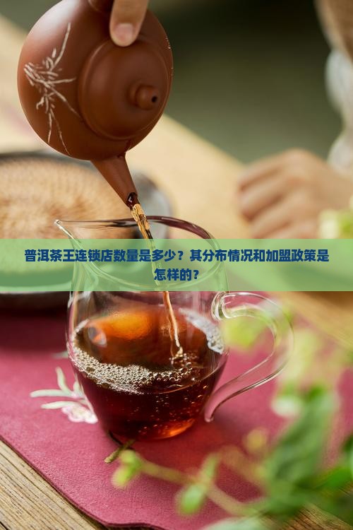 普洱茶王连锁店数量是多少？其分布情况和加盟政策是怎样的？