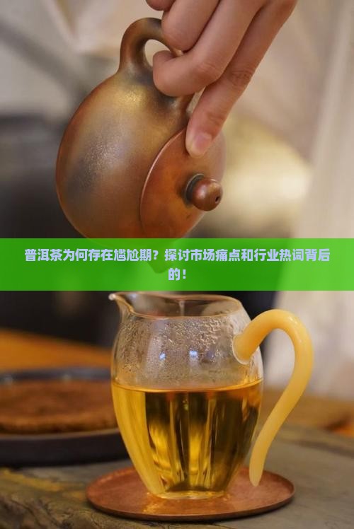 普洱茶为何存在尴尬期？探讨市场痛点和行业热词背后的！