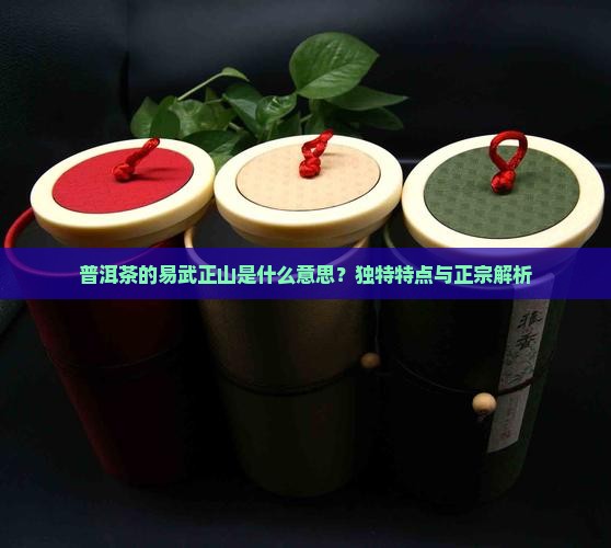 普洱茶的易武正山是什么意思？独特特点与正宗解析
