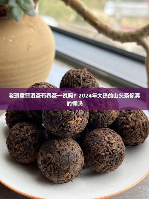 老班章普洱茶有春茶一说吗？2024年大热的山头茶你真的懂吗