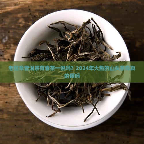 老班章普洱茶有春茶一说吗？2024年大热的山头茶你真的懂吗