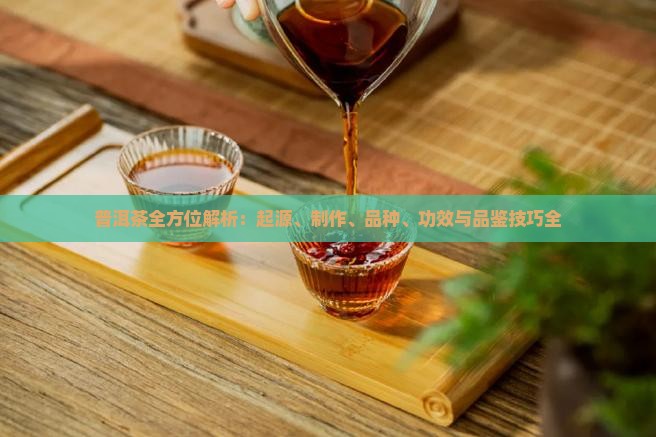 普洱茶全方位解析：起源、制作、品种、功效与品鉴技巧全