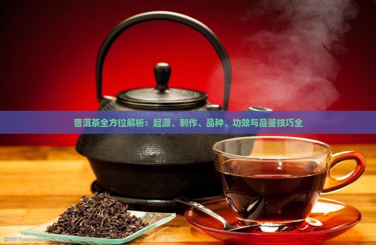 普洱茶全方位解析：起源、制作、品种、功效与品鉴技巧全