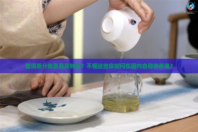 普洱茶分类及品质特征？不懂这些你如何在圈内自称老茶鬼？
