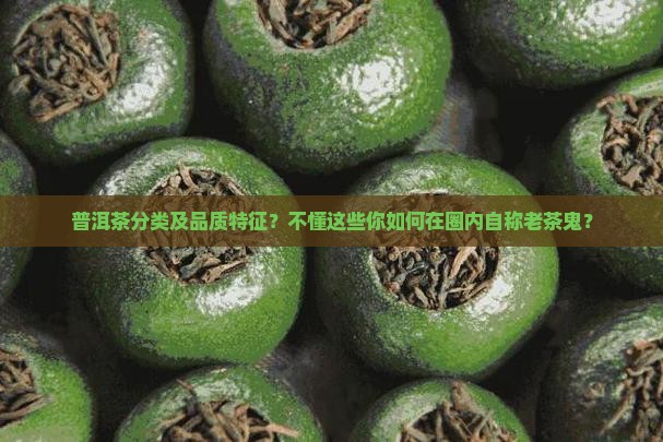 普洱茶分类及品质特征？不懂这些你如何在圈内自称老茶鬼？