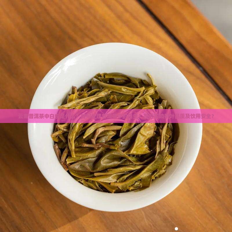 云南普洱茶中白虫是什么？如何处理普洱茶中的白虫？是否影响茶叶品质及饮用安全？