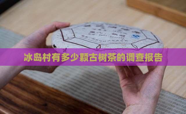 冰岛村有多少颗古树茶的调查报告