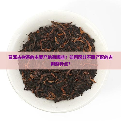 普洱古树茶的主要产地有哪些？如何区分不同产区的古树茶特点？