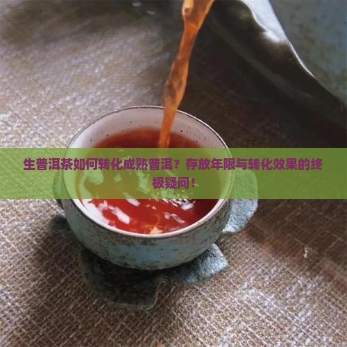 生普洱茶如何转化成熟普洱？存放年限与转化效果的终极疑问！