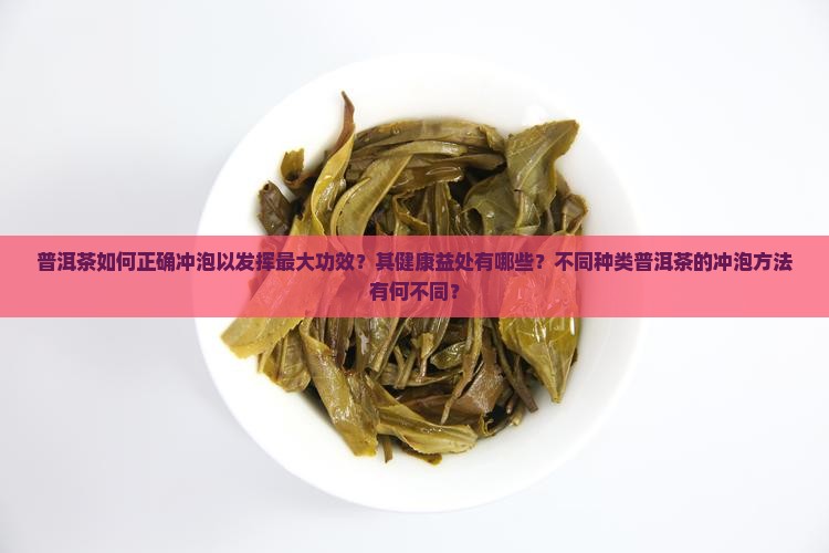 普洱茶如何正确冲泡以发挥最大功效？其健康益处有哪些？不同种类普洱茶的冲泡方法有何不同？