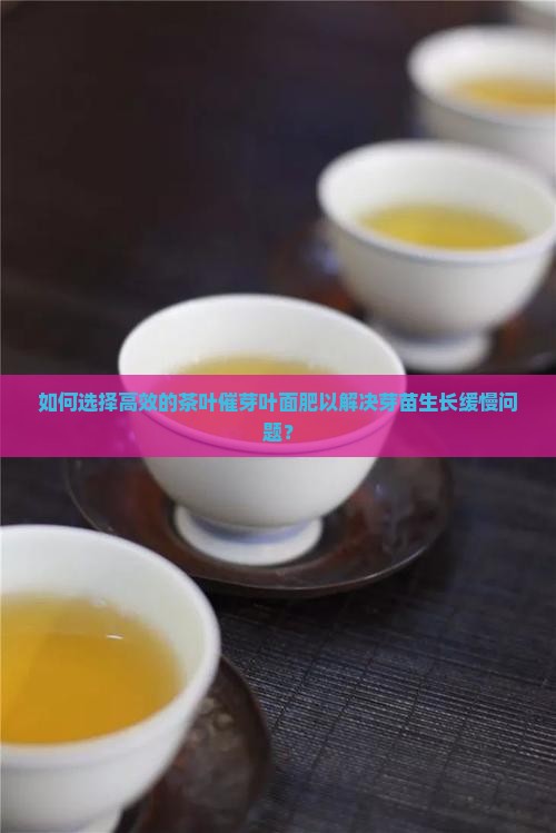 如何选择高效的茶叶催芽叶面肥以解决芽苗生长缓慢问题？