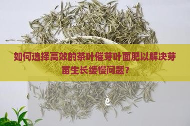 如何选择高效的茶叶催芽叶面肥以解决芽苗生长缓慢问题？