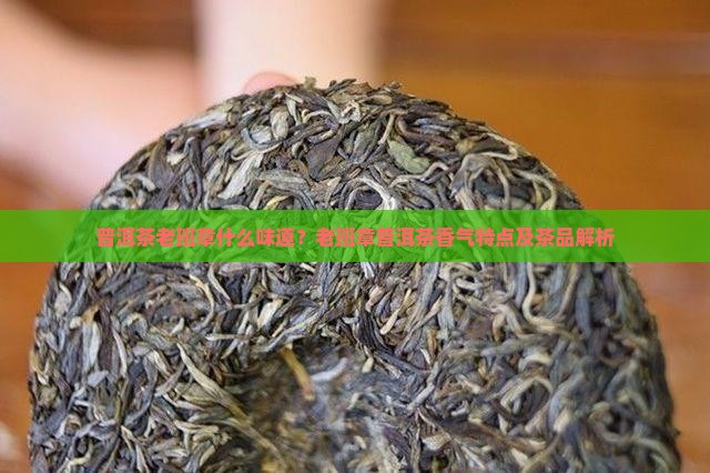 普洱茶老班章什么味道？老班章普洱茶香气特点及茶品解析