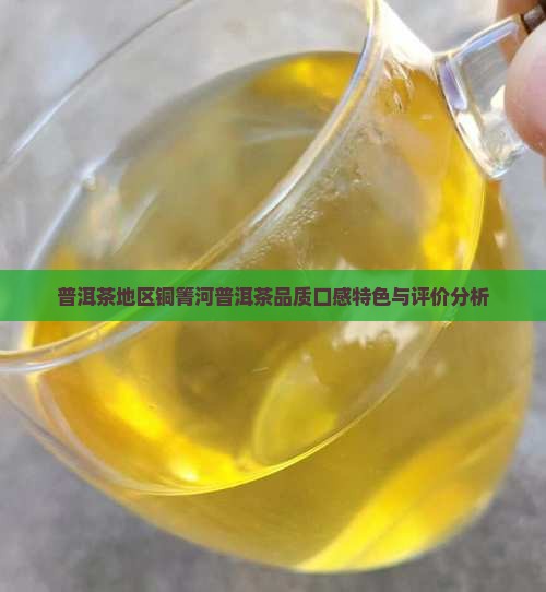 普洱茶地区铜箐河普洱茶品质口感特色与评价分析