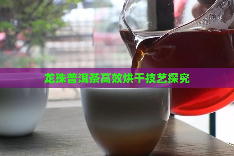 龙珠普洱茶高效烘干技艺探究