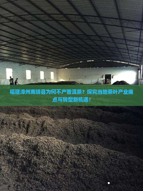 福建漳州南靖县为何不产普洱茶？探究当地茶叶产业痛点与转型新机遇！