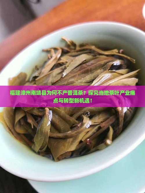 福建漳州南靖县为何不产普洱茶？探究当地茶叶产业痛点与转型新机遇！