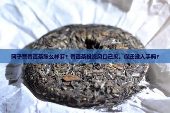 阿子营普洱茶怎么样啊？普洱茶投资风口已来，你还没入手吗？