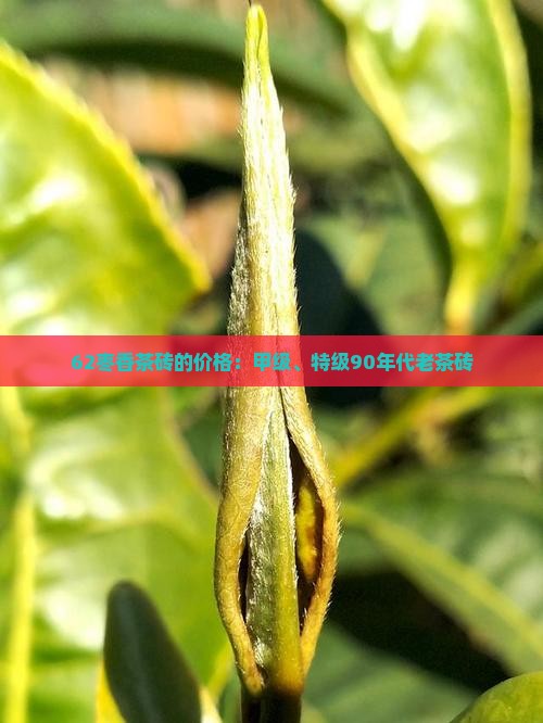 62枣香茶砖的价格：甲级、特级90年代老茶砖