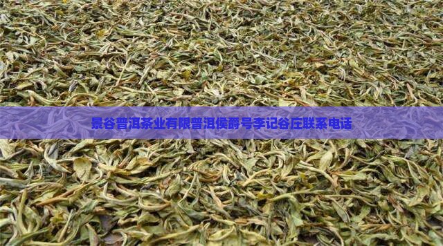 景谷普洱茶业有限普洱侯爵号李记谷庄联系电话