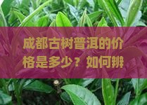 成都古树普洱的价格是多少？如何辨别真假？投资价值如何？