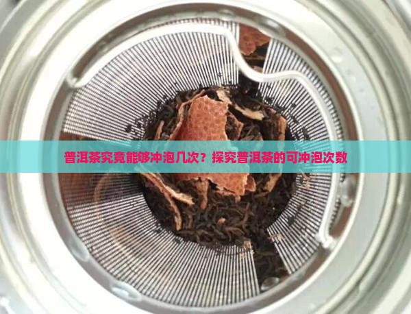 普洱茶究竟能够冲泡几次？探究普洱茶的可冲泡次数