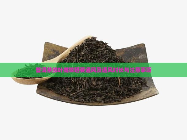 普洱茶鲜叶摊晾晒要通风及通风时长与注意事项