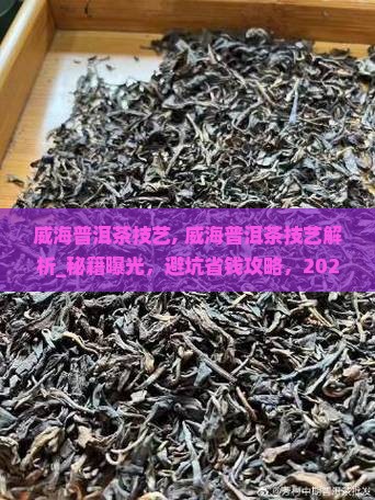 威海普洱茶技艺