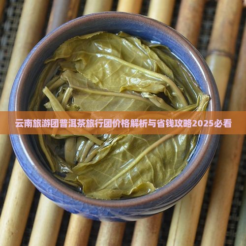 楚雄普洱茶旅行团价格多少