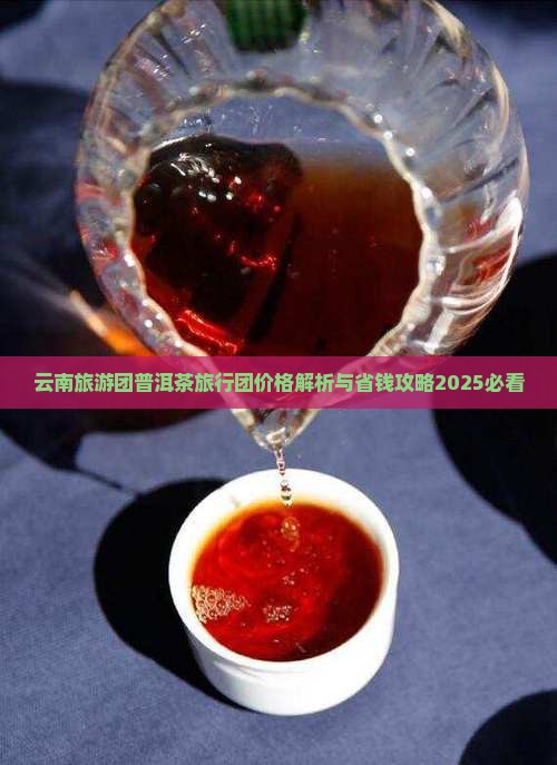 楚雄普洱茶旅行团价格多少