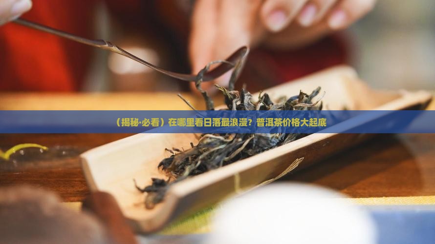 看日落的地方普洱茶价格