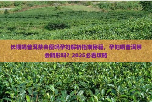 长期喝普洱茶会瘦吗孕妇