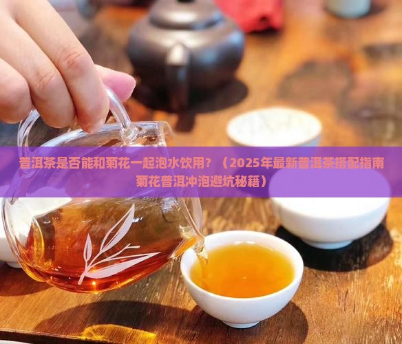 普洱茶是否可加上菊花一起喝