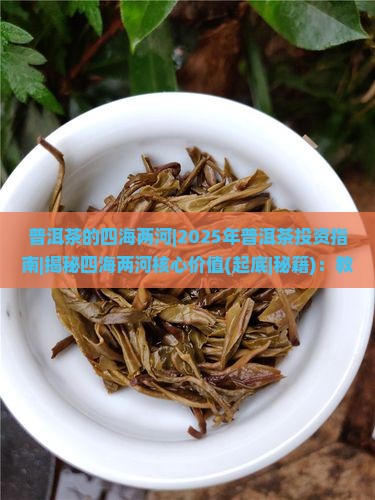 普洱茶的四海两河 普洱茶的四海两河