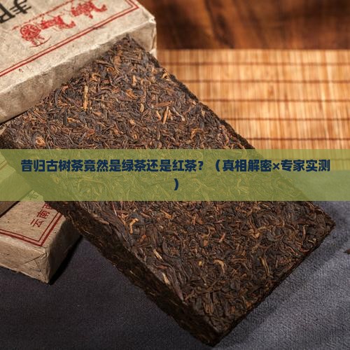 昔归古树茶是绿茶还是红茶