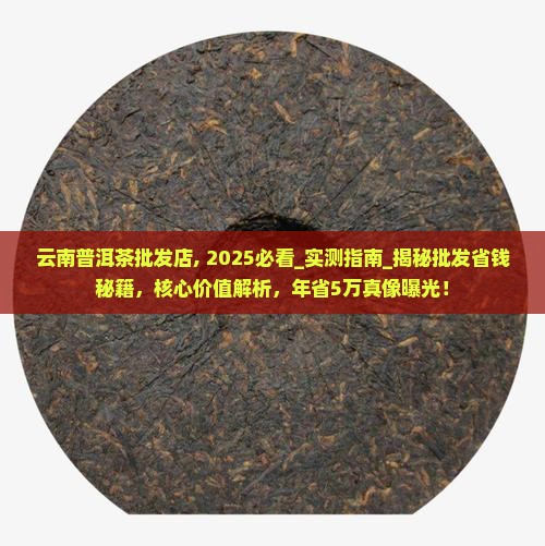 云南普洱茶批发店