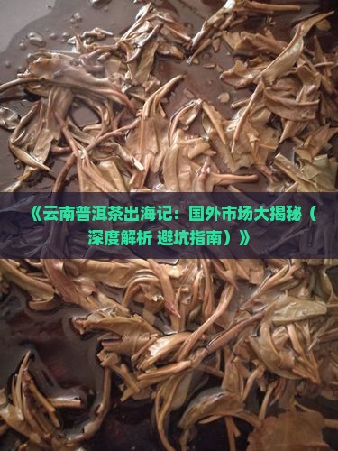 云南普洱茶的国外市场情况