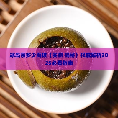 冰岛茶多少海拔