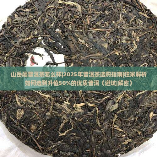 山岳颠普洱茶怎么样