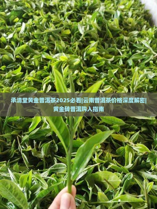 承清堂黄金砖普洱茶